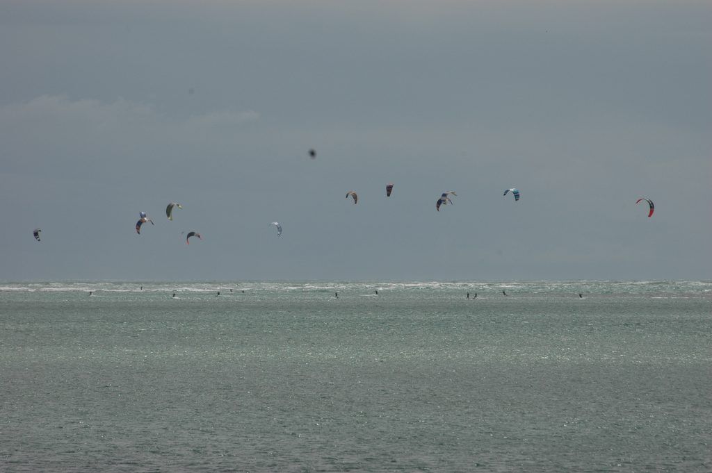 New Zealand countryside landscape